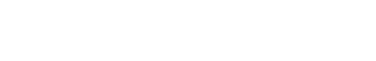 Logo Dunlop